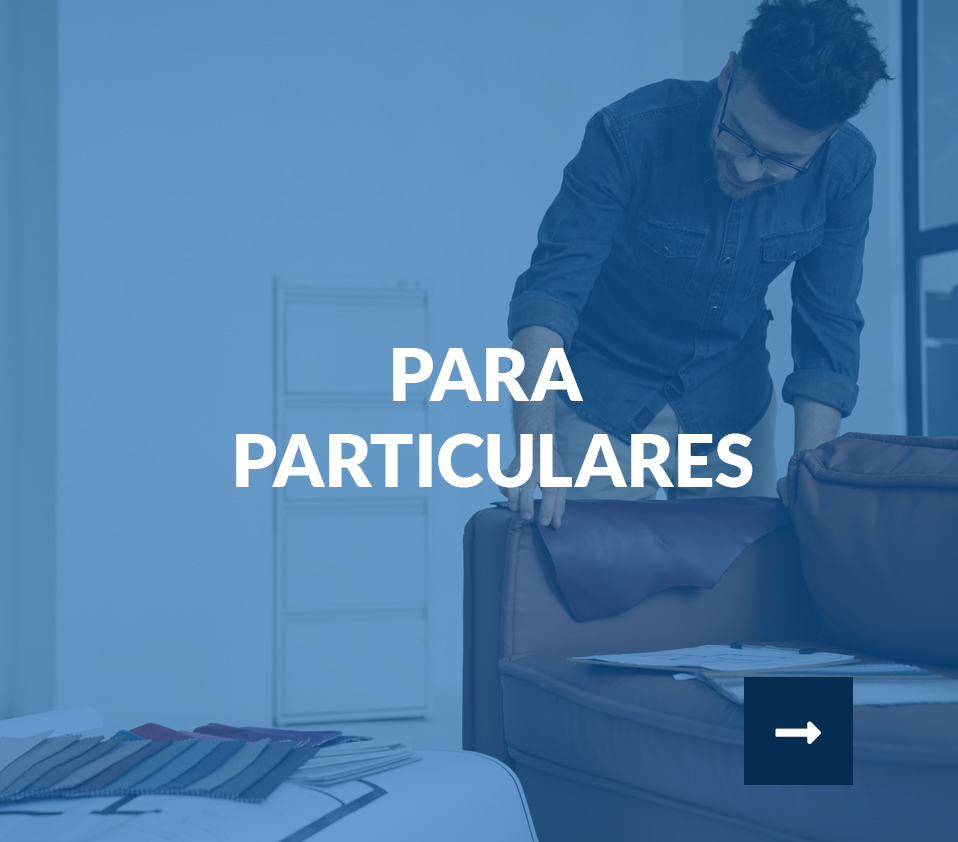 particulares